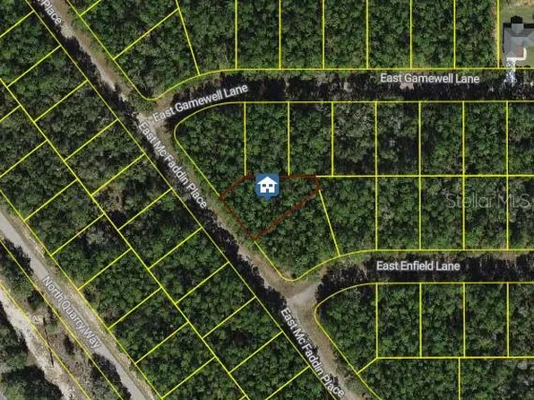 198 E McFaddin Pl Lot 19, Dunnellon, FL 34434