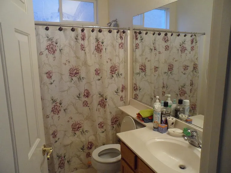 5520 Gold Poppy Way — Photo 7