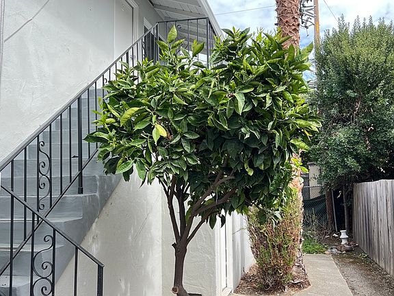5th image of 756 Reseda Dr APT 3