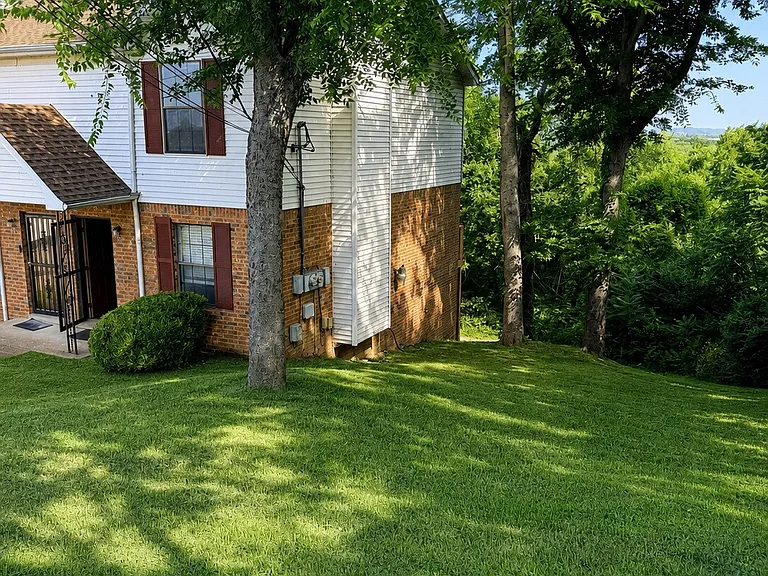 3700 Tigerbelle Dr — Photo 4