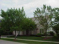1st image of 493 Saratoga Dr