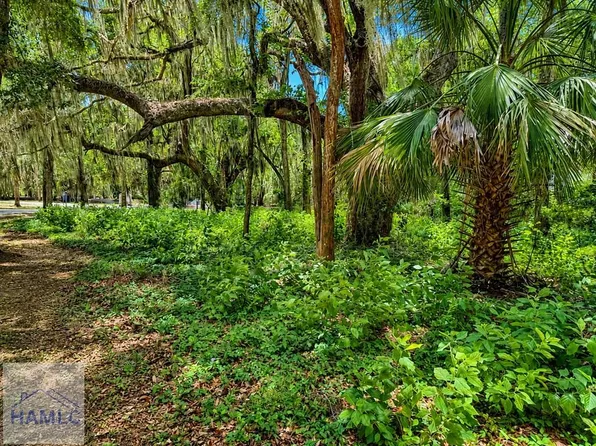 73 Tolomato Dr, Darien, GA 31305