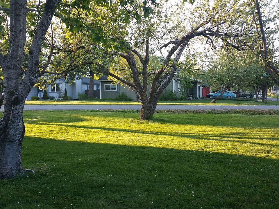 Beautiful yard