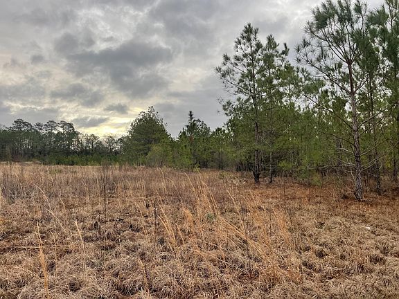 3rd image of LOT 8 Sumrall Rd