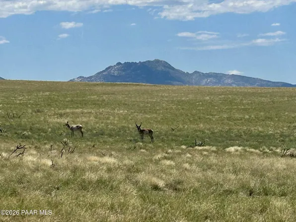 40-A E Norma Dr #2, Prescott Valley, AZ 86315