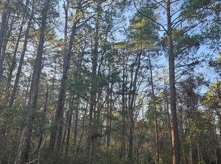 5 Deer Run Rd, Carolina Shor, NC 28467