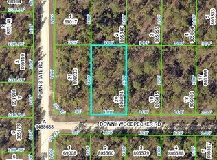 13429 Downy Woodpecker Rd, Weeki Wachee, FL 34614