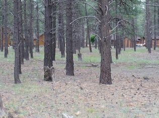 1587 N Maid Marian Dr, Parks, AZ 86018