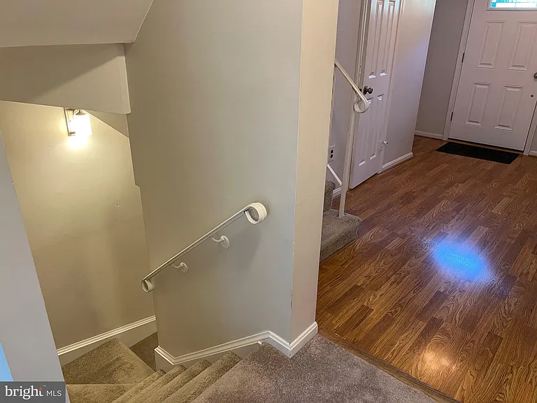 7384 Jiri Woods Ct — Photo 29