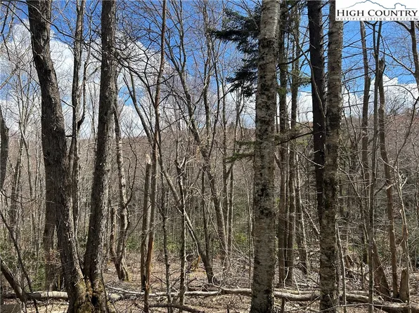 120 E Blueberry Lane, Beech Mountain, NC 28604