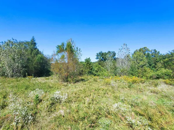 1600 Highway 16 E, Clinton, AR 72031