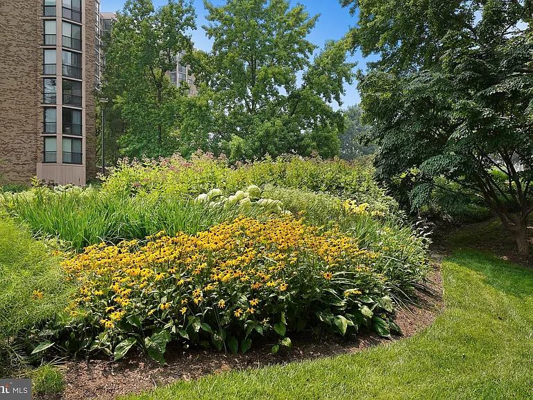 5901 Mount Eagle Dr #1517 — Photo 84