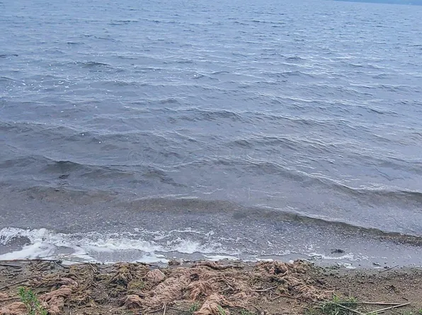 2972 N Twin Rd, Naytahwaush, MN 56566