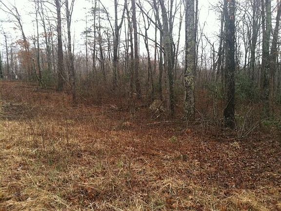 2nd image of 53 Ponderosa Ln