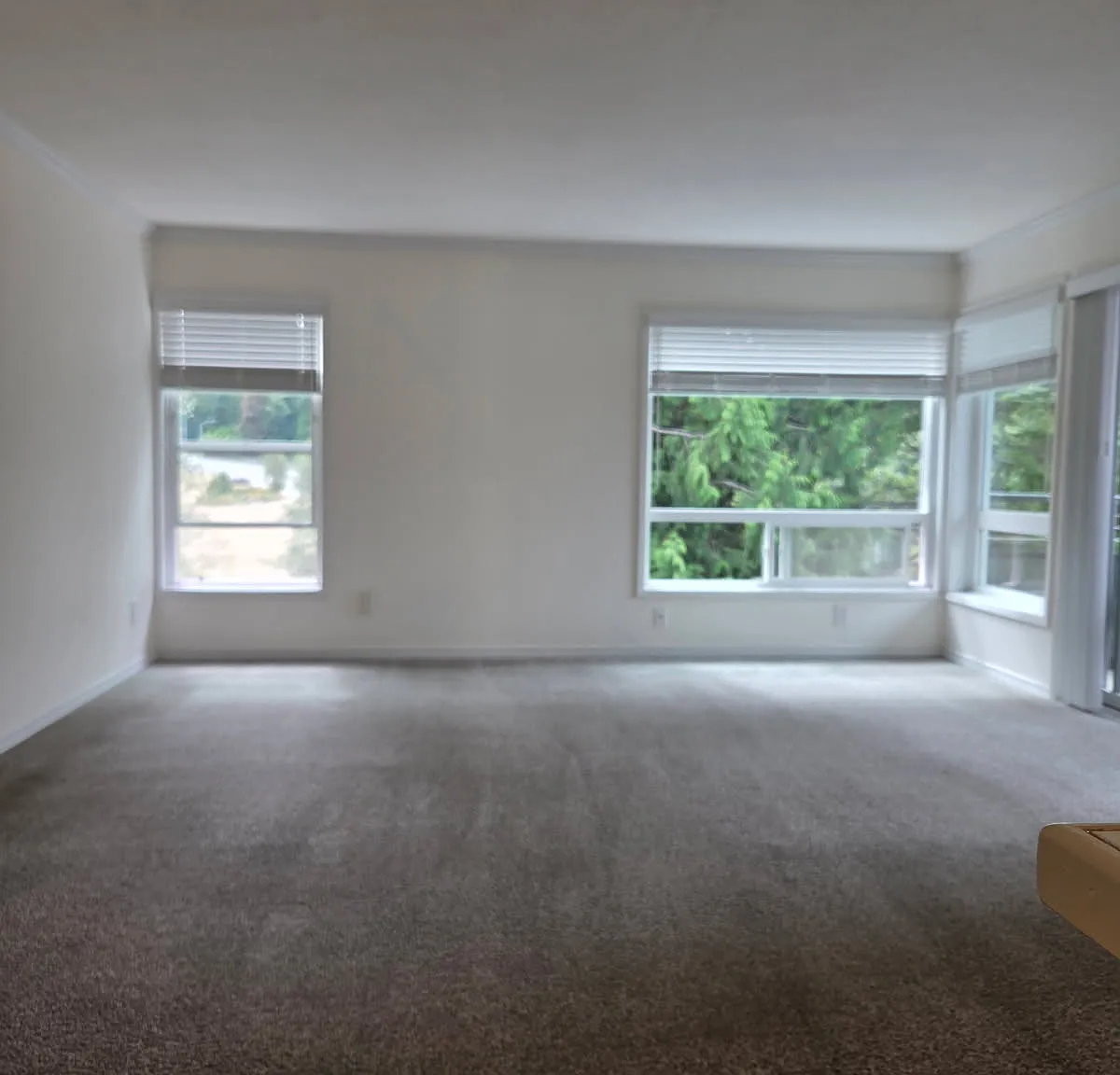 550 Elm Way — Photo 1