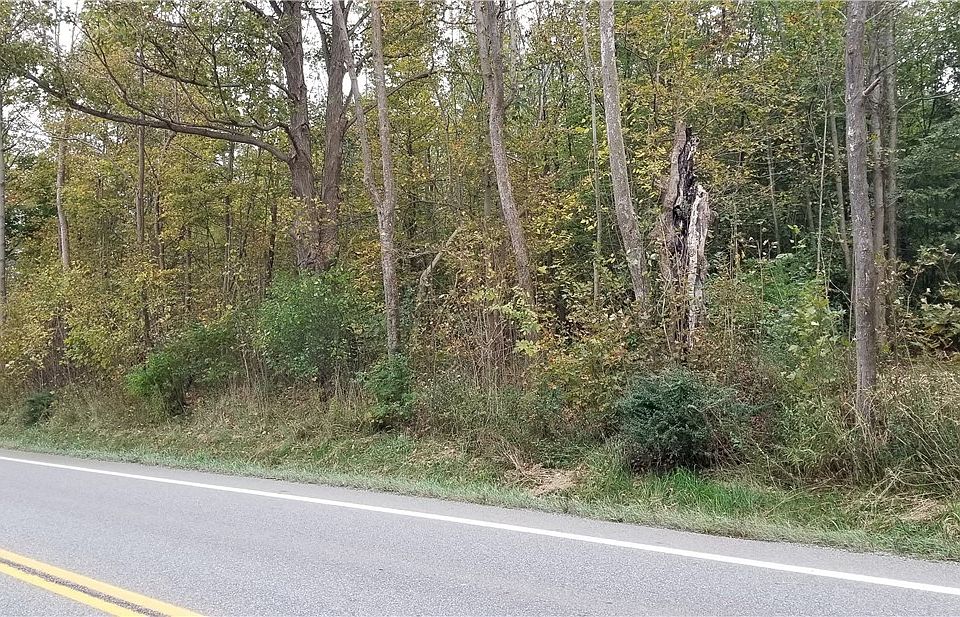 2nd image of Ravenna Rd
