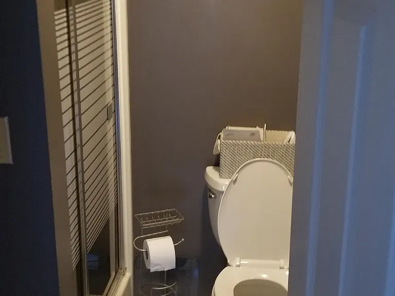 49 Honeysuckle Dr — Photo 10