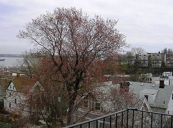 View from Top Terrace