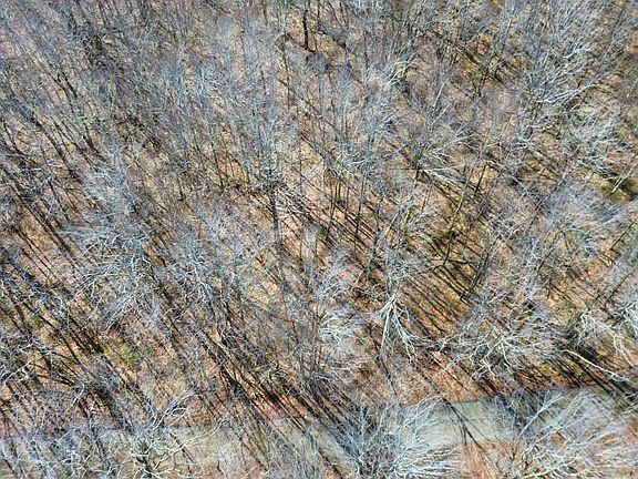 5th image of 585 Sears Mullen Rd