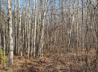 Near Bear Lake Rd, Butternut, WI 54514
