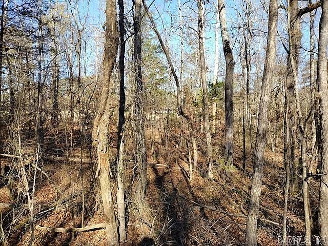 2nd image of 25 Telon Ln