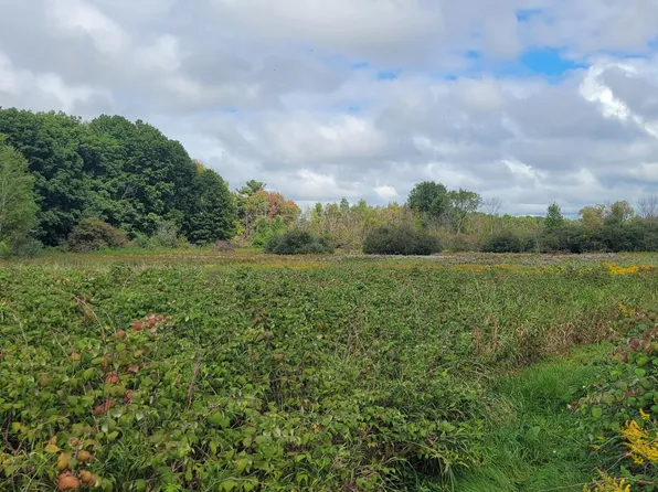 881 S Brye Rd, Ludington, MI 49431