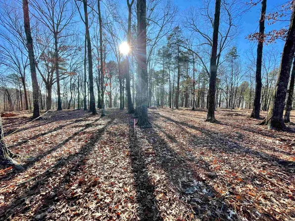 24 Shiloh Rd, Higden, AR 72067