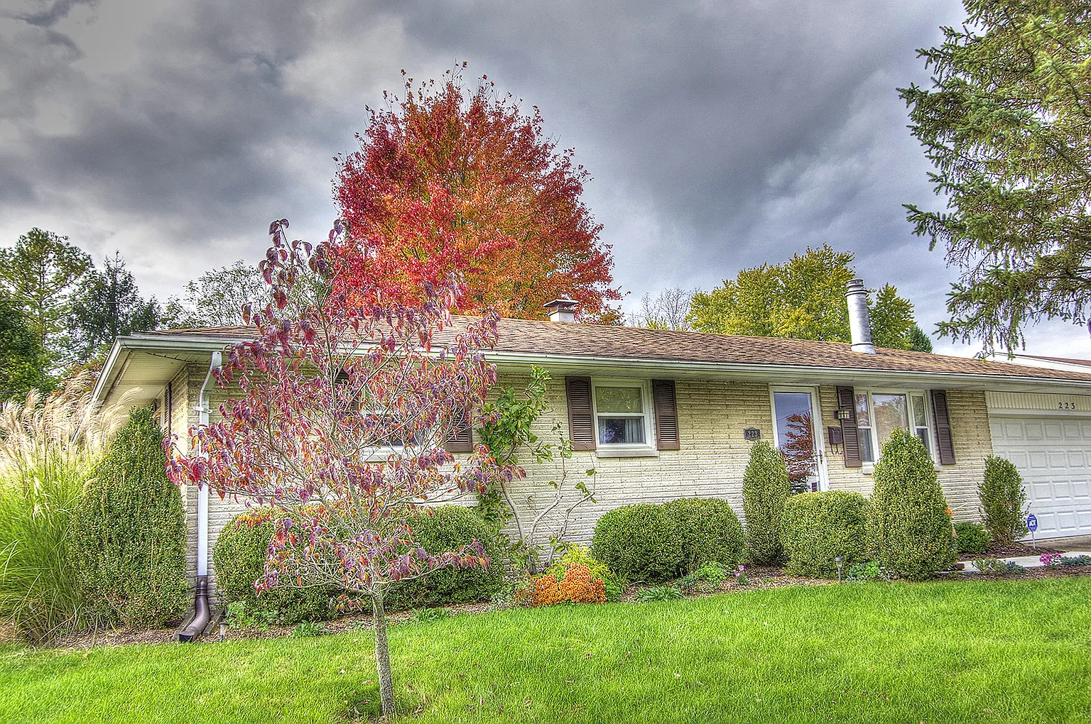 223 Zimmerman St photo 1