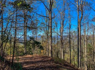 Walnut Mountain Rd, Ellijay, GA 30536