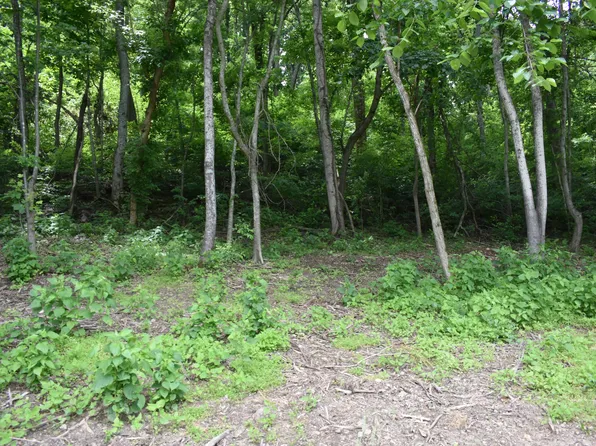 0 Turkey Creek Hwy Lot 3, Carthage, TN 37030