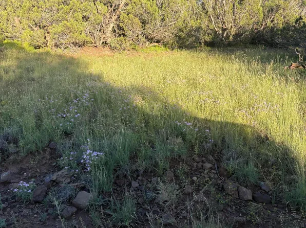 337 N 8269th, Concho, AZ 85924