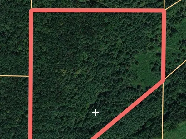 0 Jones Chapel Rd #0, Springville, AL 35146