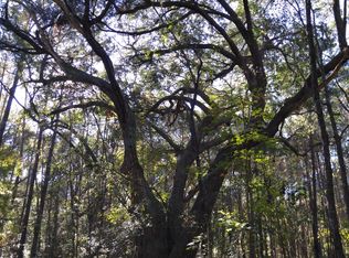 8180 Small Springs Ln, Edisto Island, SC 29438