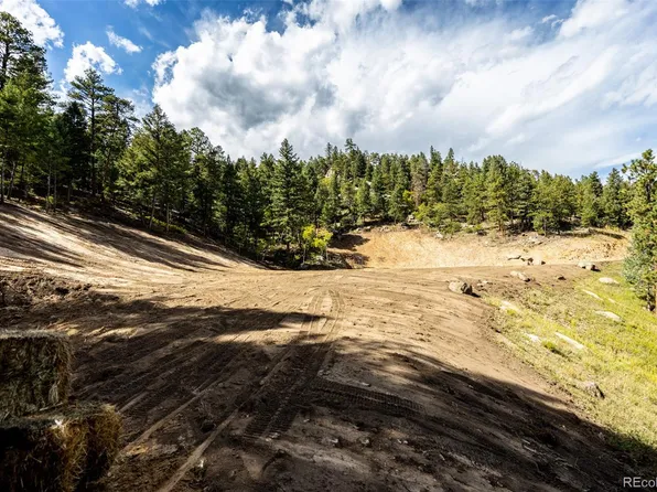 9489 S Turkey Creek Road, Morrison, CO 80465