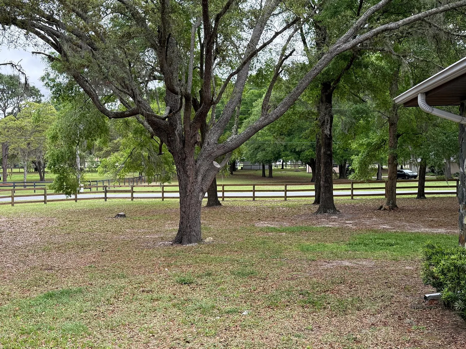 Count Fleet Dr, Ocala — Photo 3