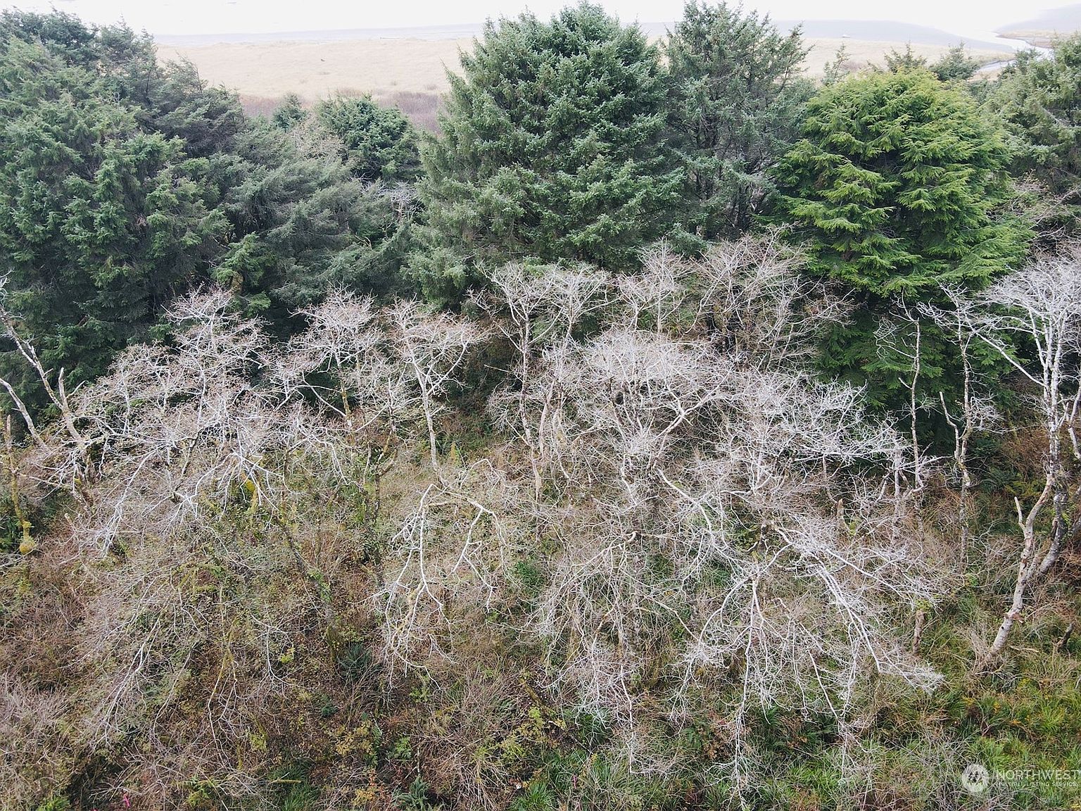 0 XXX State Route 109, Taholah, WA 98587 MLS 2182990 Zillow