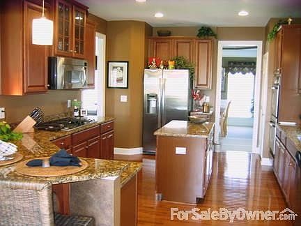 Gourmet kitchen