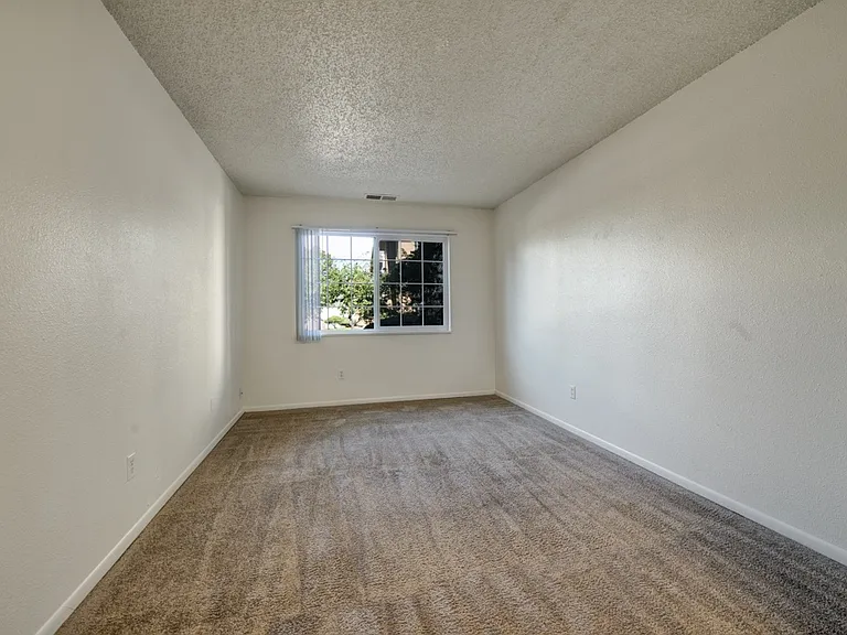 Austin Park — Photo 15