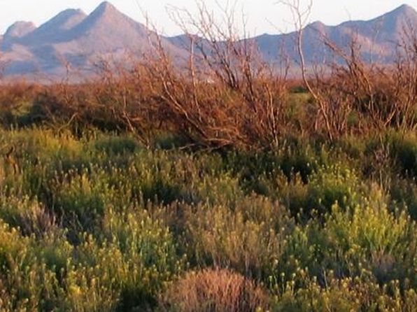 63 1/2 Sec #22, Sierra Blanca, TX 79851