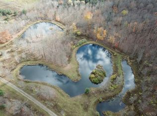 225 Shoemaker Rd, Erin, NY 14838