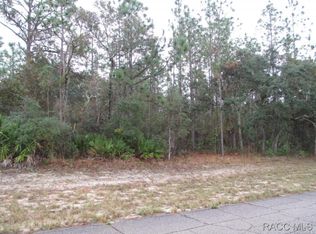 6413 W El Dorado Ln, Beverly Hills, FL 34465
