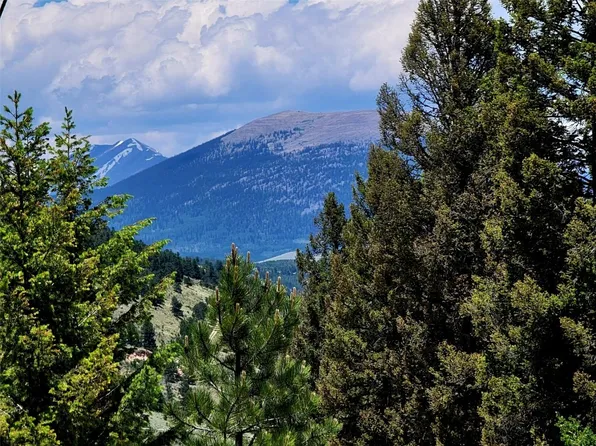 2799 Redhill Rd, Fairplay, CO 80440