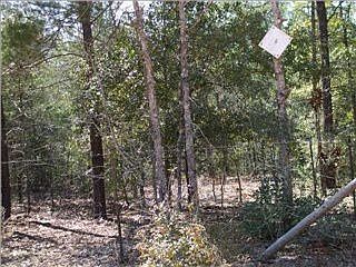 1st image of 161 Sussex Dr