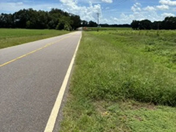 County Road 1 South And Highway 167 N, Daleville, AL 36322