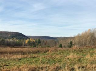 2311 Switzkill Rd, Berne, NY 12023