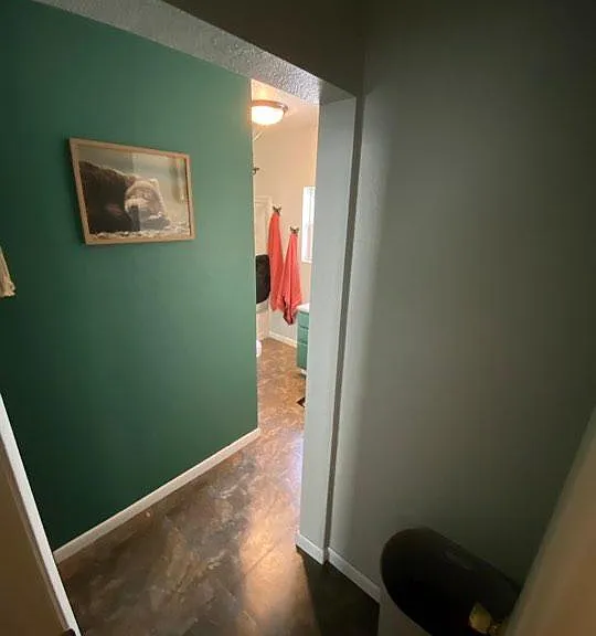 215 Palmer St — Photo 15