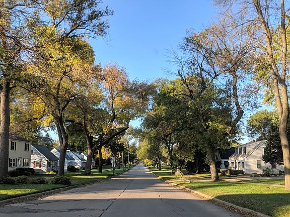wonderful street & neighbors