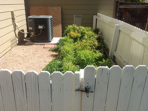 B/yard garden area