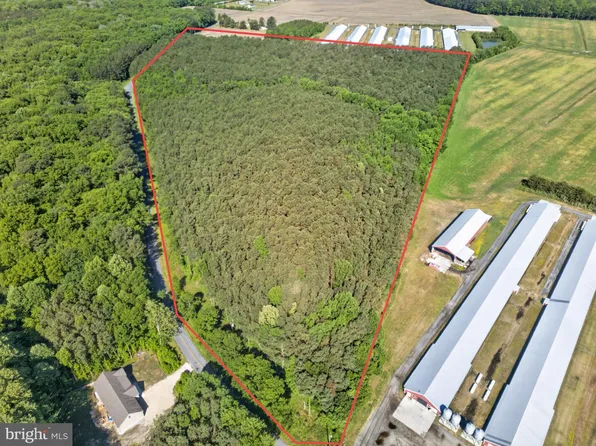 Johnson Neck Rd, Pocomoke City, MD 21851