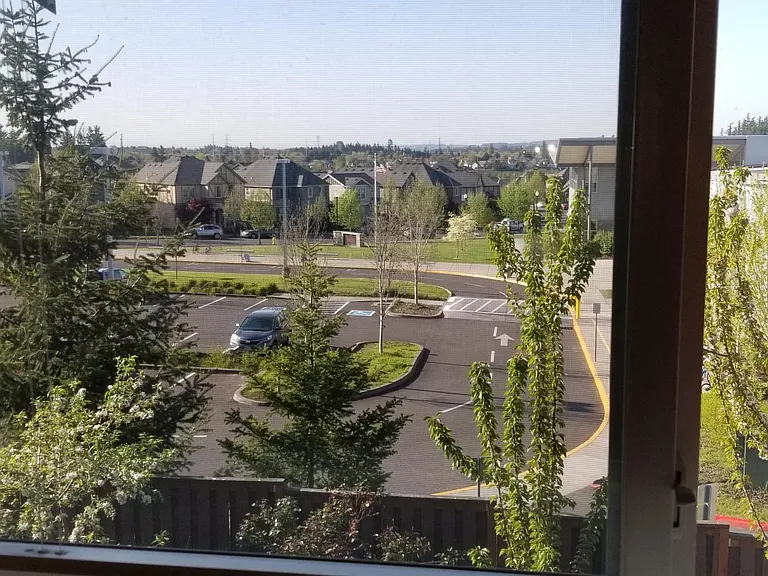 School Parking Lot as seen from Master Bed